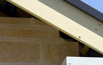soffit repair Kingsclere Woodlands
